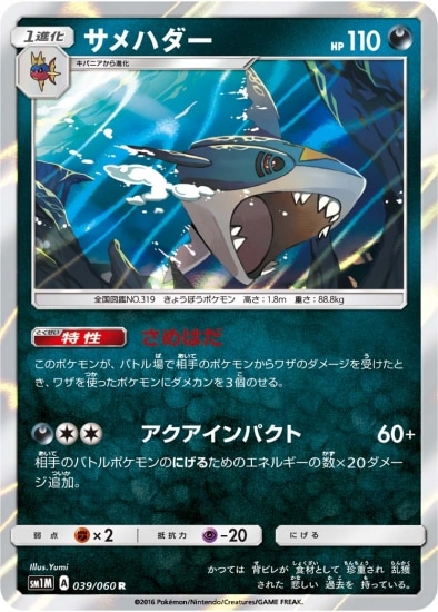 PK-SM1M-039 サメハダー R