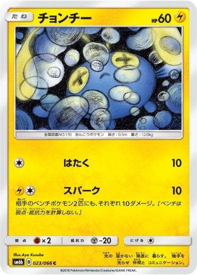 PK-SM6B-023 チョンチー C