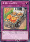 農園からの配送 YCPC-JP003