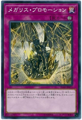メガリス・プロモーション IGAS-JP071