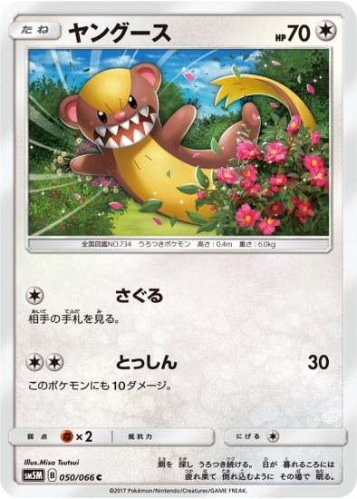 PK-SM5M-050 ヤングース C