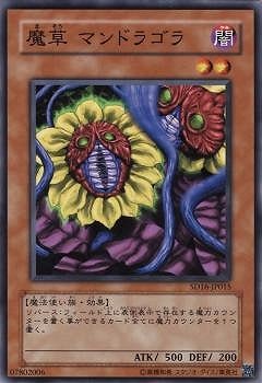 魔草 マンドラゴラ SD16-JP015