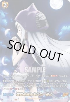 【SKR仕様(RRR)】世界の痛みをこの一身に[VG_D-TB04/SKR12SKR]