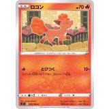 PK-S11-013 ロコン C