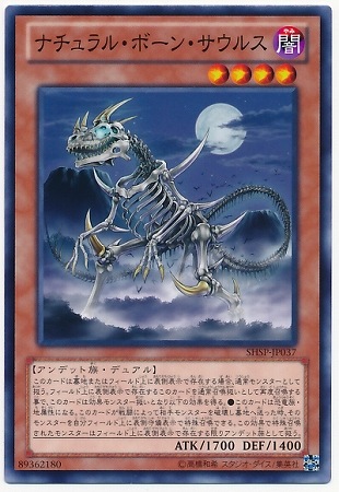 ナチュラル・ボーン・サウルス SHSP-JP037