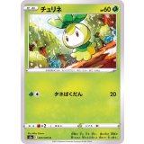 PK-S5a-005 チュリネ C