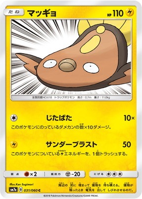 PK-SM7A-031 マッギョ C