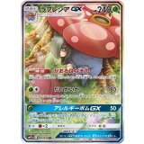 062/049 SR ラフレシアGX