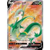 075/068 SR ジャローダV