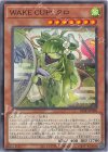 ＷＡＫＥ ＣＵＰ！ クロ [BLZD-JP028]