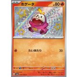 215/190 S ホゲータ
