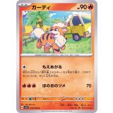 PK-SV1V-015 ガーディ C