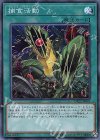 DP22-JP047 SR 捕食活動