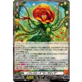 ノブレスローズ “ローザロッサ” DZ-BT10/T01