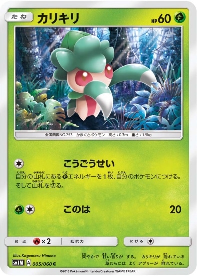 PK-SM1M-005 カリキリ C
