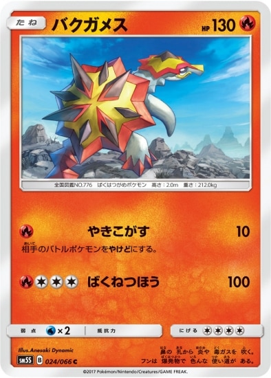 PK-SM5S-024 バクガメス C