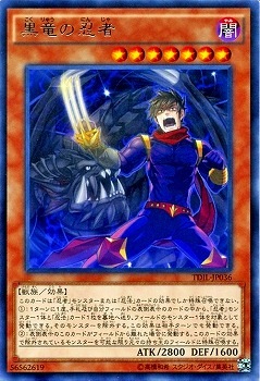 黒竜の忍者 TDIL-JP036