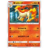 PK-SM11a-010 ギャロップ C