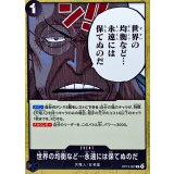 世界の均衡など…永遠には保てぬのだ OP13-097