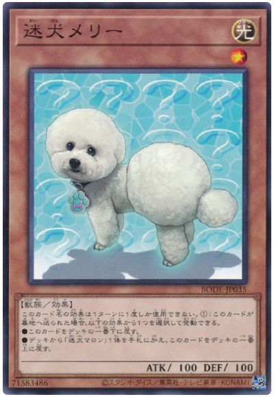 迷犬メリー BODE-JP035