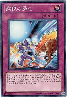 痛恨の訴え PHSW-JP063