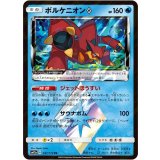 PK-SM12a-037 ボルケニオンPS PR