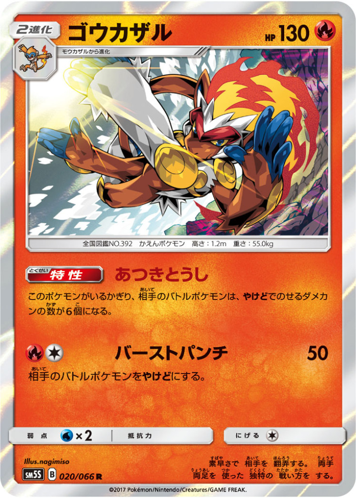 PK-SM5S-020 ゴウカザル R
