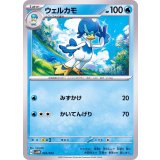 PK-SVAW-003 ウェルカモ