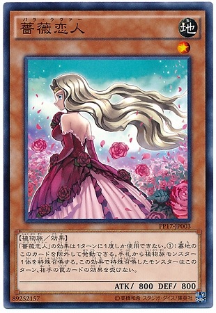 PP17-JP003 薔薇恋人