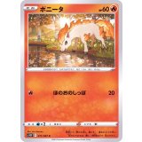PK-S10P-011 ポニータ C