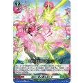 明日に香る蕾を信じて D-BT13/056