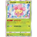 PK-S8b-006 チェリム