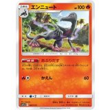 PK-SM12a-027 エンニュート