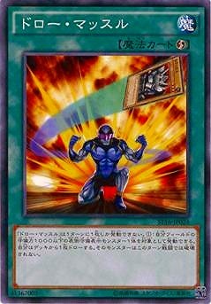 ドロー・マッスル ST16-JP024