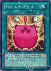 RDS-JP043 N 怒れるもけもけ