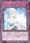 六花深々 DBSS-JP025