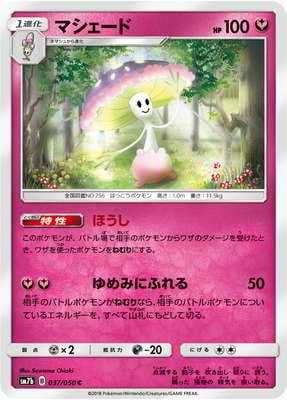 PK-SM7B-037 マシェード C