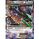 MレックウザEX[272/XY-P]