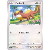 PK-S12-086 ヤングース C