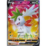 101/100 SR シェイミV