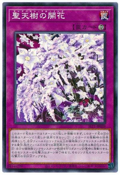 聖天樹の開花 SLT1-JP039