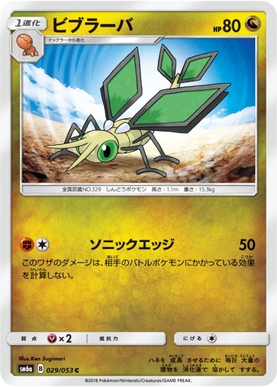 PK-SM6A-029 ビブラーバ C
