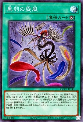 黒羽の旋風 [QCCP-JP143]
