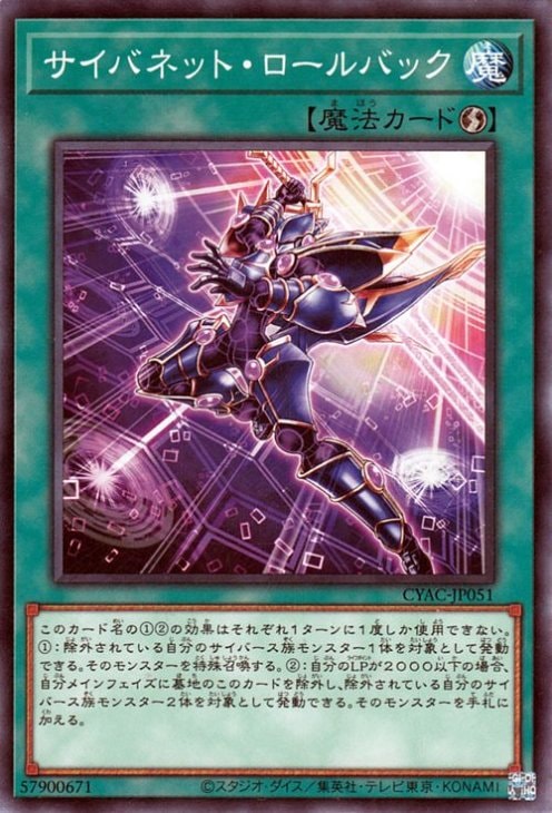 サイバネット・ロールバック CYAC-JP051