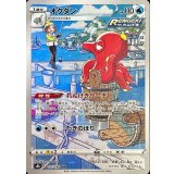 PK-S8b-191 オクタン CHR