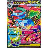 087/063 SAR メガフシギバナex