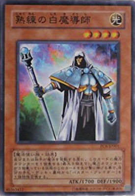 熟練の白魔導師 [PC6-JP001]