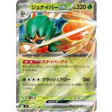 012/080 RR ジュナイパーex