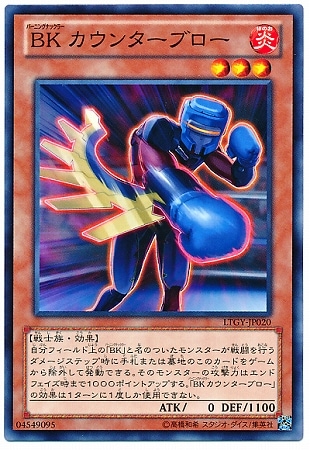 ＢＫ カウンターブロー LTGY-JP020