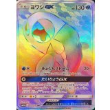 211/173 HR ヨワシGX